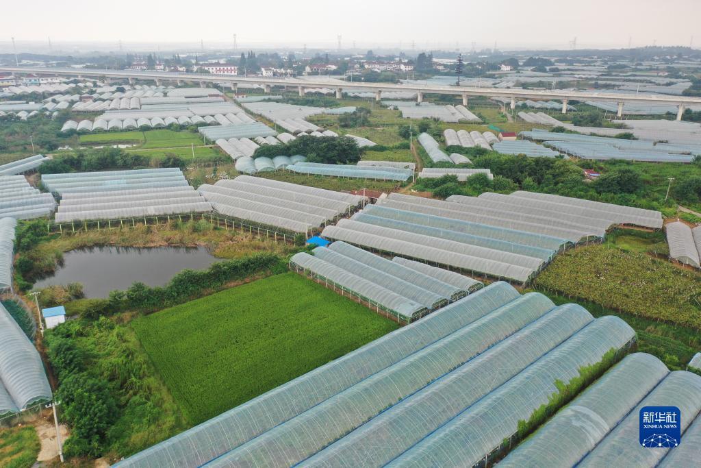 网上现金斗地